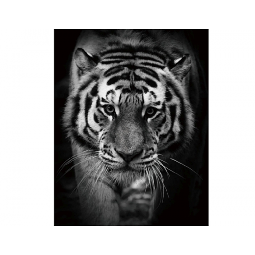 Картина на стекле Tiger Signal 120х80